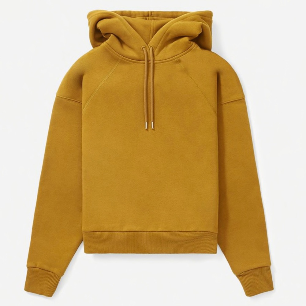 Everlane ReNew Hoodie